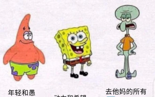 成年三阶段是什么意思 成年三阶段是什么意思
