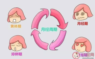 月经推迟可不只有贫血 月经推迟了该怎么办