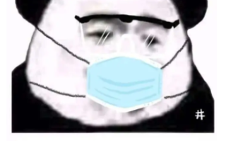 疫地恋是什么梗