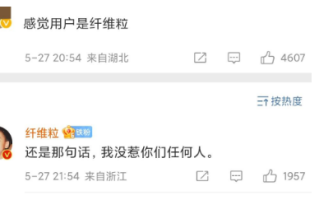 我没惹你们任何人是什么意思
