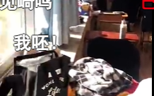 后排靠窗，王的故乡是什么意思
