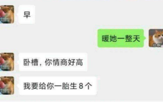 暖她一整天是什么梗