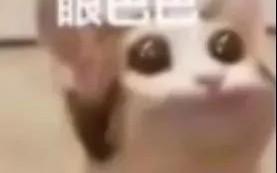 一生要强的文科生是什么梗