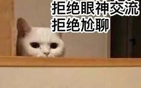 摆烂式社交是什么意思