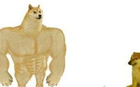 Cheems是什么梗