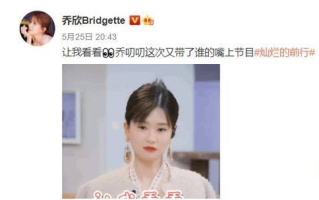 互联网嘴替是什么意思