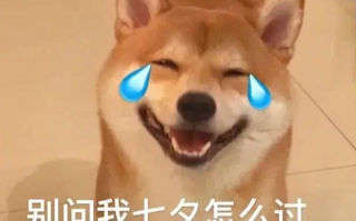 别问我七夕怎么过是什么梗 别问我七夕怎么过是什么梗