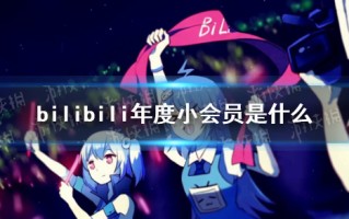 bilibili年度小会员是什么 bilibili年度小会员介绍