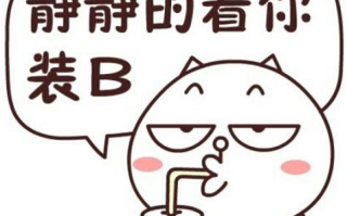 小母牛系列是什么梗