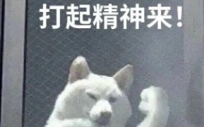 网络用语外卷侠是什么意思