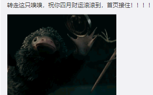 谢谢嗅嗅梗介绍
