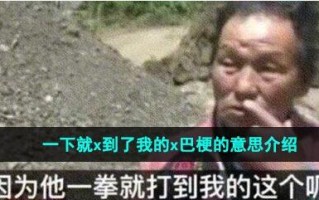 一下就x到了我的x巴梗的来源及出处