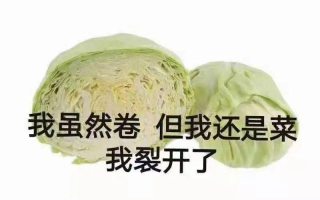 卷心菜人是什么意思