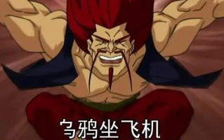 乌鸦坐飞机是什么意思 乌鸦坐飞机梗介绍