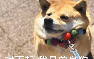 恋爱终结者是什么意思