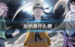 加纳梗介绍