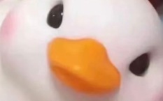 谁的骨盆最端正是什么梗