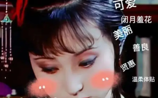 林黛玉发疯文学是什么意思