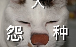 冤种姐妹是什么意思