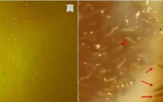 天然蜜蜡鉴别方法
