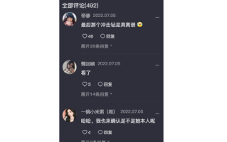抖音王大炮是什么意思