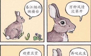 兔咏梗的来源及出处 兔咏梗的来源及出处