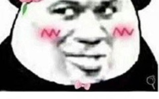 ddlg是什么意思