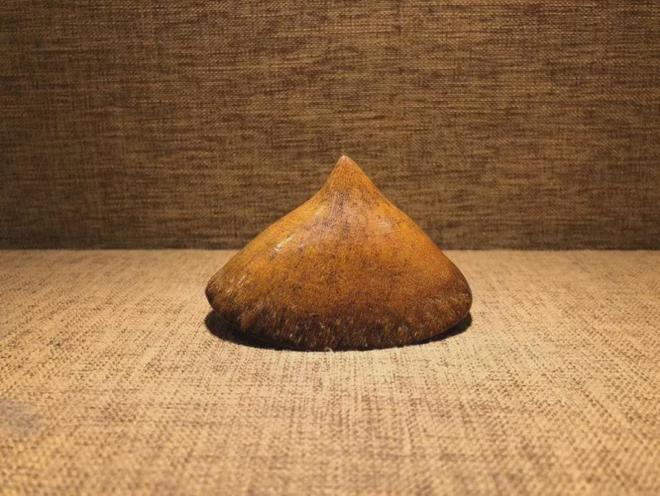 披毛犀角百科：披毛犀角全是假的, 披毛犀角怎么样鉴别真假？必看！！-第4张图片-阔酒网