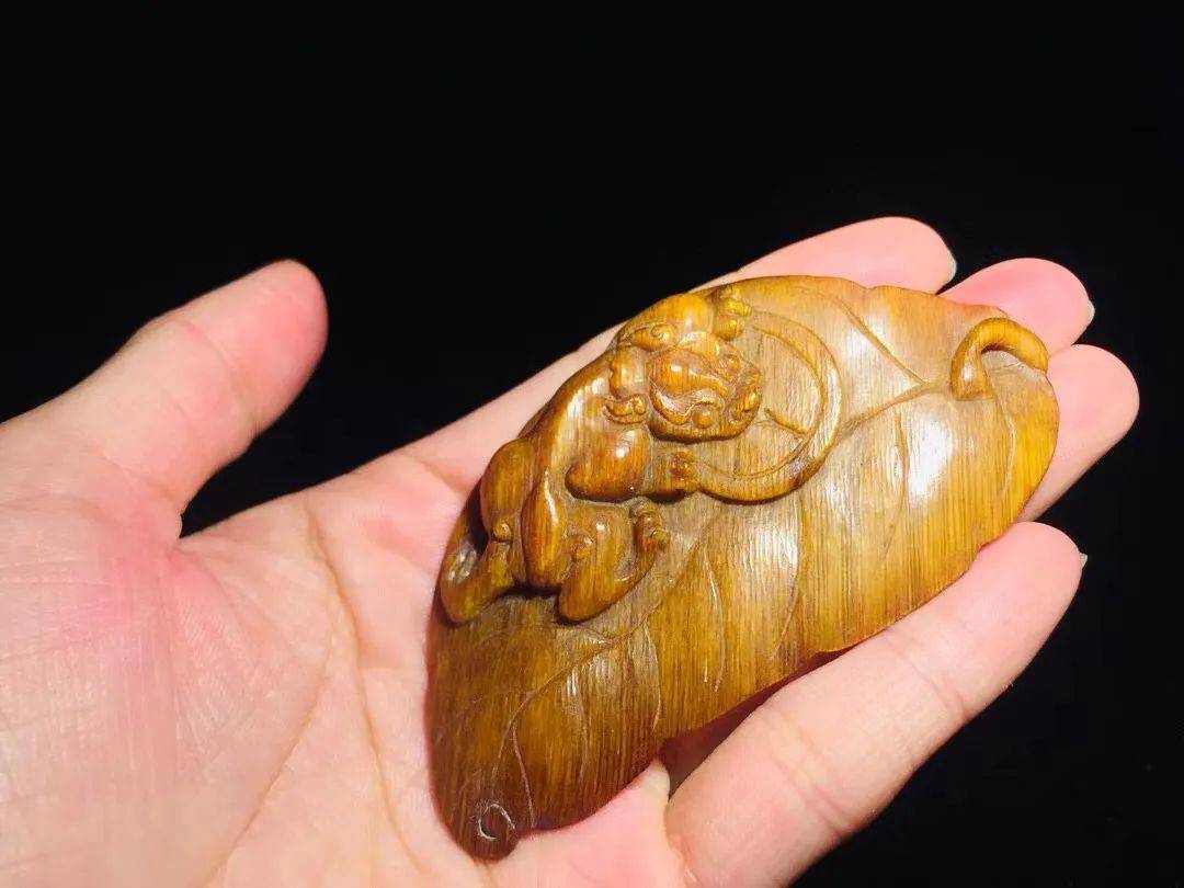 披毛犀角有收藏价值吗?你还被蒙在鼓里吗？【披毛犀角百科】-第2张图片-阔酒网
