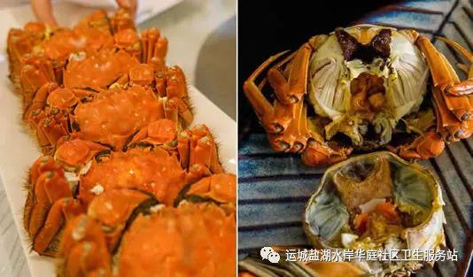 螃蟹要蒸多久才能蒸熟 最佳时间:新手最佳吃大闸蟹方法-第1张图片-阔酒网 螃蟹要蒸多久才能蒸熟 最佳时间:新手最佳吃大闸蟹方法-第1张图片-阔酒网