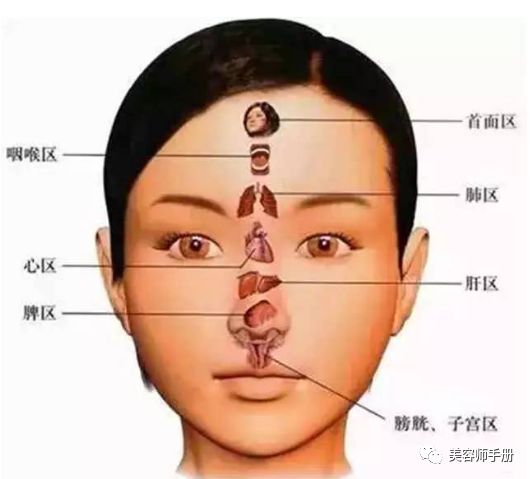 女性养肝护肝自测：肝是身体的“油箱”，这些信号提醒你，再不养肝就晚了！ -第3张图片-阔酒网