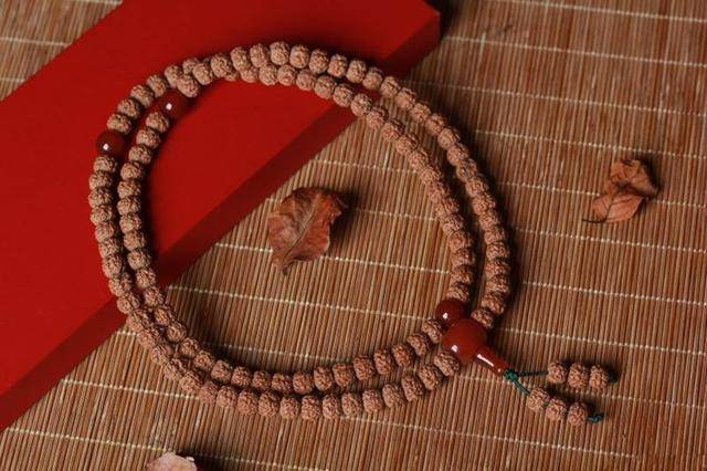 什么样的金刚菩提正宗？现如今的标准早已经“畸形”！-第2张图片-阔酒网