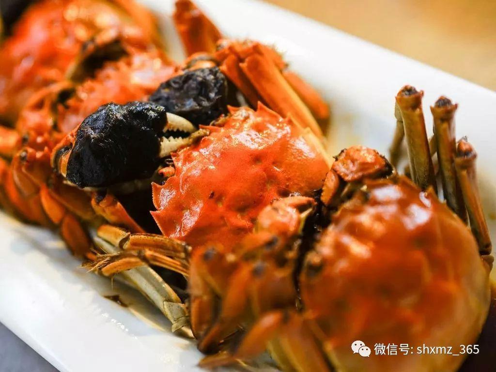 螃蟹要蒸多久才能蒸熟?记住两个数字,螃蟹肉嫩不柴超鲜美!-第11张图片-阔酒网 螃蟹要蒸多久才能蒸熟?记住两个数字,螃蟹肉嫩不柴超鲜美!-第11张图片-阔酒网