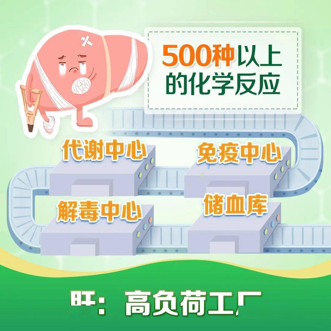 女性养肝护肝自测：肝脏没有痛感，一个简单方法自测肝脏是否健康！-第2张图片-阔酒网