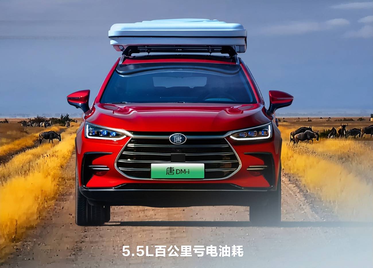 什么新能源车好?盘点值得购买的新能源汽车-第7张图片-阔酒网 什么新能源车好?盘点值得购买的新能源汽车-第7张图片-阔酒网