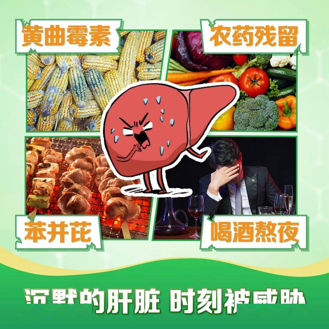 女性养肝护肝自测：肝脏没有痛感，一个简单方法自测肝脏是否健康！-第3张图片-阔酒网