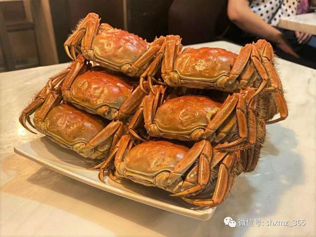 螃蟹要蒸多久才能蒸熟?记住两个数字,螃蟹肉嫩不柴超鲜美!-第12张图片-阔酒网 螃蟹要蒸多久才能蒸熟?记住两个数字,螃蟹肉嫩不柴超鲜美!-第12张图片-阔酒网