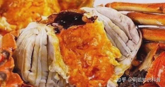 螃蟹要蒸多久才能蒸熟?螃蟹蒸时间长了会怎样?-第1张图片-阔酒网 螃蟹要蒸多久才能蒸熟?螃蟹蒸时间长了会怎样?-第1张图片-阔酒网